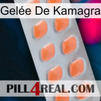 Gelée De Kamagra 26
